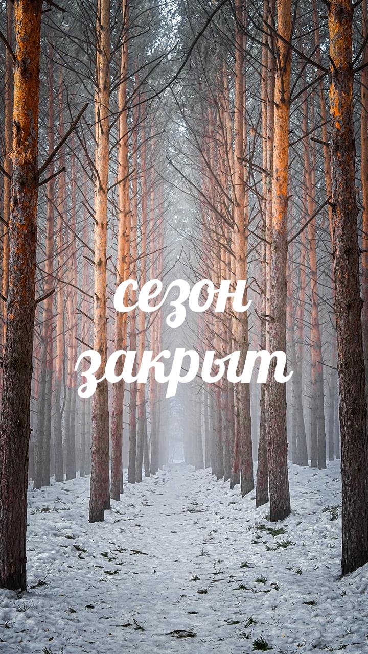 СЕЗОН  2025-2026 ЗАКРЫТ!